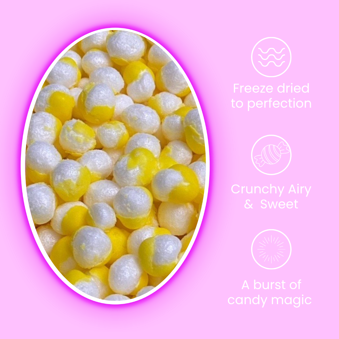 Freeze-Dried Lemon Rocks Case of 5